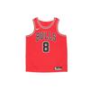 NBA Chicago Bulls Zach Lavine Icon Edition Swingman Jersey Chicago Red/Black/White Men Streetwear CW3660-660