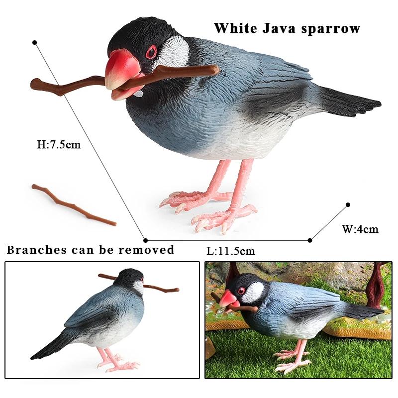 Oenux Bird Nest Animals Peacock Parrot Trogon Hornbill Owl Model PVC Action Figures Big Garden Decoration Cute Kids Toy Gift