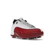 Air Jordan 12 Low Golf Cherry Unisex Sneakers White Metallic-Silver Varsity-Red DH4120-161