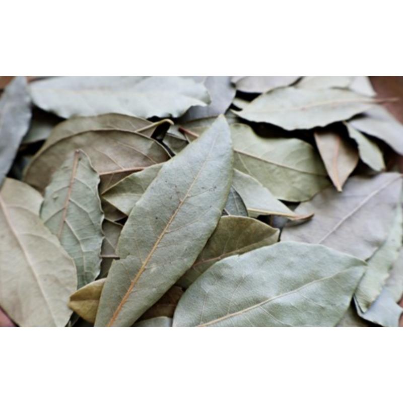 Pure Daham Bay Leaf Herbal Tea Ingredients, 100g, 2 Pieces