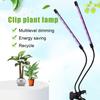 Full Spectrum Plant Grow Light with Clip Dimmable Plug-Play High Brightness Waterproof LED Plant Light Flower Grow Lamp