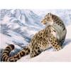 5D DIY Diamond Painting Leopard Embroidery Mosaic Cross Stitch Rhinestone Decoration