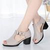 Fashion Summer Women's Heeled Shoes Fashion T-strap Peep Toe Women's Sandals Dress Office Ladies Chunky Heel Sandals Zapatos De Mujer