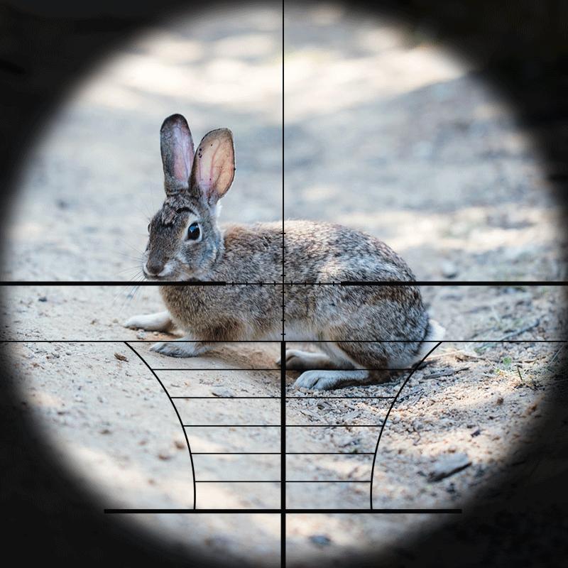 3-9x40 EG Red/green Illuminated Hunting Scope Riflescope Gold Military Optic Sight Sniper Deer Riflescope Scope Mildot