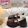 Retro British Style Platform Small Leather Shoes Women's 2025 Spring and Summer New Fashion Japanese Skirt Mary Jane Single Shoes Women