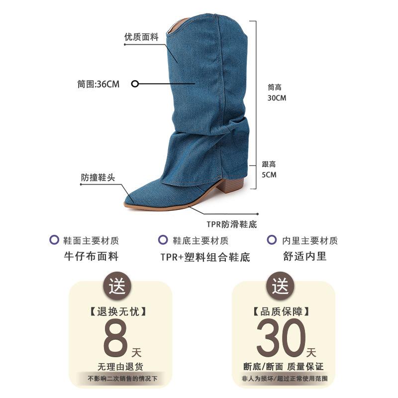European and American Fashion Temperament Pointed Niche Western Cowboy Boots Women's 2025 New Summer Fringed Pants Tube Boots Thick Heel