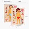 Wooden Human Anatomy Puzzle: Toddler Educational Toy for Self-Awareness and Science Learning