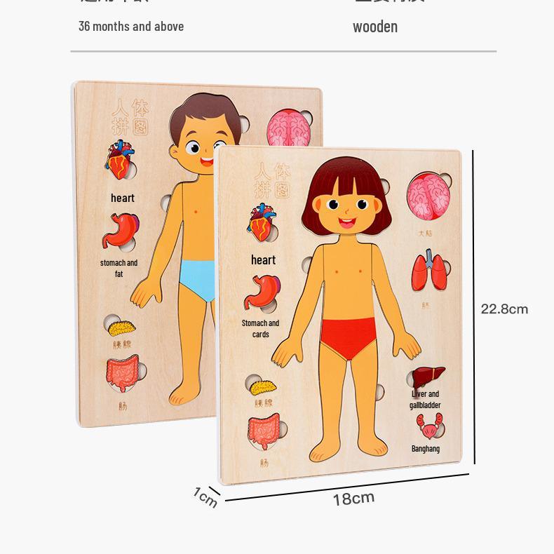 Wooden Human Anatomy Puzzle: Toddler Educational Toy for Self-Awareness and Science Learning