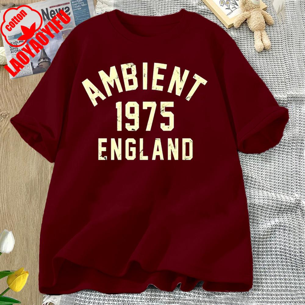 Ambient Music 1975 Brian Eno The Orb Synthesizer Best Seller Top Tee T Shirt Great for Running and Weekend Letter Clothes