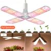 1Pc E27 Foldable Phyto Lamp SMD2835 AC110-277V Full Spectrum LED Bulb Grow Light Indoor Plants Bloom Flowering Grow Lamp Garden
