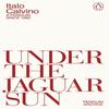 Under the Jaguar Sun by Italo Calvino Paperback Book 9780241752371