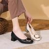 Spring and Summer New Thick Heel Square Head Shallow Mouth Medium Heel Single Shoes Women's Black Work Shoes