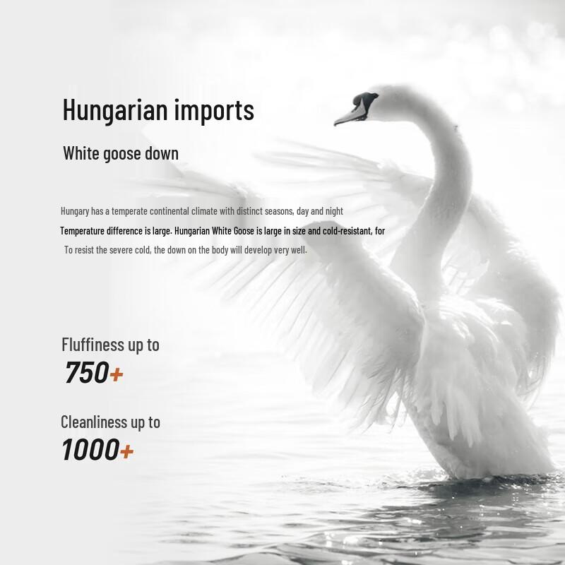 Mercury Home Textile Hungarian 95% White Goose Down Quilt