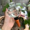 Transparent Lantern Automatic Plant Watering Drip System