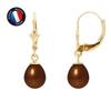 Earrings - - Genuine Chocolate Freshwater Pearls 7-8 Mm - 9 Carat Yellow Gold - 2 Year Warranty