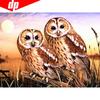 5D Diamond Painting Animal Owl Full Round Embroidery Sale Picture Rhinestone Diamond