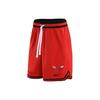 Chicago Bulls DNA Dri-Fit NBA Logo Print Lace-Up Quick-Dry Breathable Basketball Shorts Men Shorts Red DH9170-657