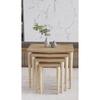 Karaca 4-Piece Nesting Table - Service Table - Side Table - Oak (RIVOLI)
