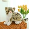Simulated Cat Doll Creative Plush Toy Children'S Soothing Rag Doll Pet Cat Doll
