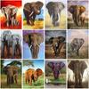 Diy Elephant 5D Diamond Painting Full Round Drill Mosaic Animals Diamond Embroidery Cross Stitch Kits Home Decor Wall Art Gift