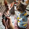 Rabbit Print Pet Cat Costume for Cats Soft Sweatshirt Hoodie Spring Summer Cat Clothes Suit Mascotas