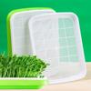 Indoor Nursery Paper Hydroponic Tray Grow Nursery Pots Plant Box Sprout Pot Seed Sprouter Tray