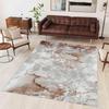 Washable Printed Carpet RVGHOME0346