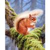5D Diy Алмазная картина Белка Алмазная вышивка Крестом Домашний декор Подарки ручной работыjavascript: