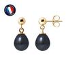 Earrings - - Comet - Black Cultured Pearls 7-8 Mm - 9 Ct Yellow Gold - Woman