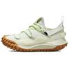 ACG Mountain Fly Low GTX SE Sea Glass Unisex Sneakers Green Lime-Ice DD2861-001