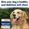 Pet Probiotic Chewable Tablets A Variety Of Enzyme Blends To Promote Intestinal Digestion Health Supplements For Dogs