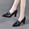 Temperament High Heels Women's Spring and Autumn New Pointed Thick Heel Versatile One-pedal Single Shoes Soft Leather Medium Heel Small Leather Shoes