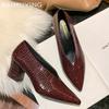 Chunky Women Shallow Shoes Pointed Toe Elegant Mid Heels Leather Pumps 2025 Trend Designer Dress Party Winter Femme Chaussures