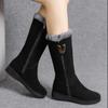 Women's 2025 New Winter Boots with Plush Midsole, Fashionable, Thick and Warm Snow Boots, Flat Bottomed,side Zipper Cotton Boots