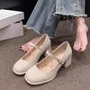 Fashion Versatile and Comfortable Square Head Mary Jane Single Shoes 2025 Spring and Summer New High-end Skirt Thick Heel Single Shoes