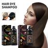 100ML 3-in-1 Hair Color Shampoo Ammonia-Free Hair Dye Moisturising Protecting Herbal Ingredients Hair Black