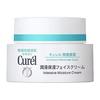 Moisturizing Face Cream 40g [item]