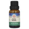100% Pure Natural Essential Oil, Eucalyptus, 15 Ml (0.5 Fl Oz)