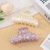 Korean Simple Fashion Hairpin: Large Jelly Color Shark Clip for Back of Head