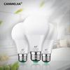 Led Bulb E27 220V 230V 240V Led Lamp Light Bulbs Energy Saving Bulbs for Home Lighting