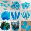 20 Pcs 11 Kinds Sky Blue Pheasant Tail Chicken Feathers Goose Rooster Plumas For Diy Crafts Headdress Decoration Ostrich Feather
