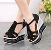 Ethnic-inspired 14CM Extreme High Wedge Sandals - 2025 Trendy Summer Women's Platform Shoes with Tassel Details Club Events