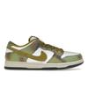 Alexis Sablone X Dunk Low SB Chameleon Men Sneakers Green Oil-Green Desert-Moss HJ3386-300