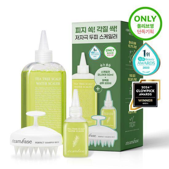 STEAMBASE Tea Tree Scalp Water Scaler 250ml Special Set (+50ml + Brush)