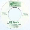 7inch Record BIG YOUTH - Where Rap Came From IM021 Incredible Musi 2001 UK Reggae, Ska & Dub Used