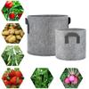 Plant Grow Bag Breathable Gardening Tools Non Woven Fabric Propagation Growth Plants Pots for Greenhouse