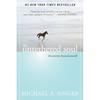 The Untethered Soul The Journey Beyond Yourself Paperback
