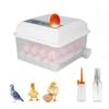 Automatic Egg Incubator 16 Eggs