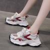 Popular Fried Street Platform Dad Shoes Women's Height Increase Versatile Casual Shoes 2025 New Spring and Autumn Breathable Silver Sneakers