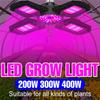 Led Grow Light Plant Seed E27 Full Spectrum Hydroponic Lampara Panel Bombilla Grow Tent Bulb AC85-265V 200W 300W 400W